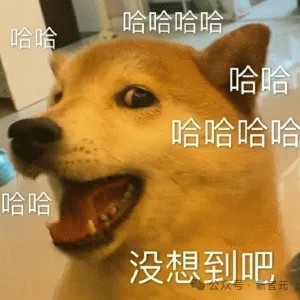 跨境电商一人搞定？我们雇阿里国际的AI开了家店赚遍全球市场(图7)
