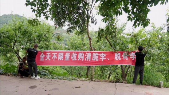 B·sport（中国体育）：新电商如何“潮”出屏幕“焕”活市场？(图1)