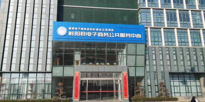 射阳：电商助力跑出兴农“加速度”(图2)