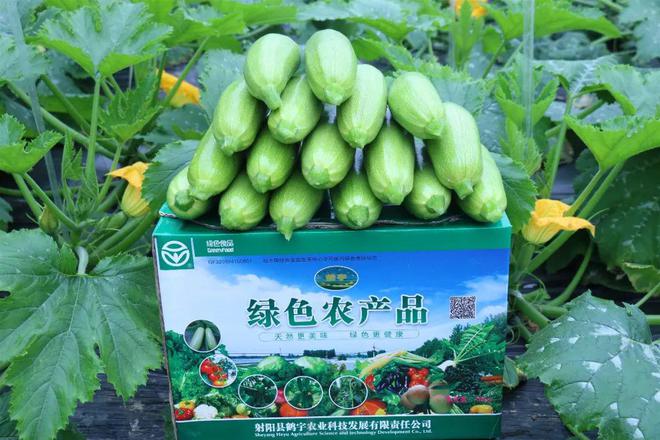 射阳：电商助力跑出兴农“加速度”(图6)