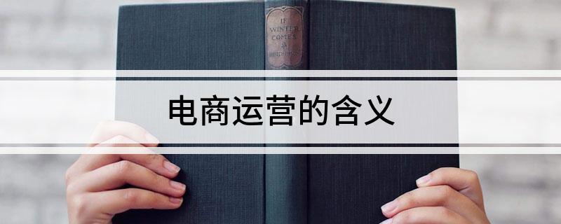 电商运营的含义(图1)