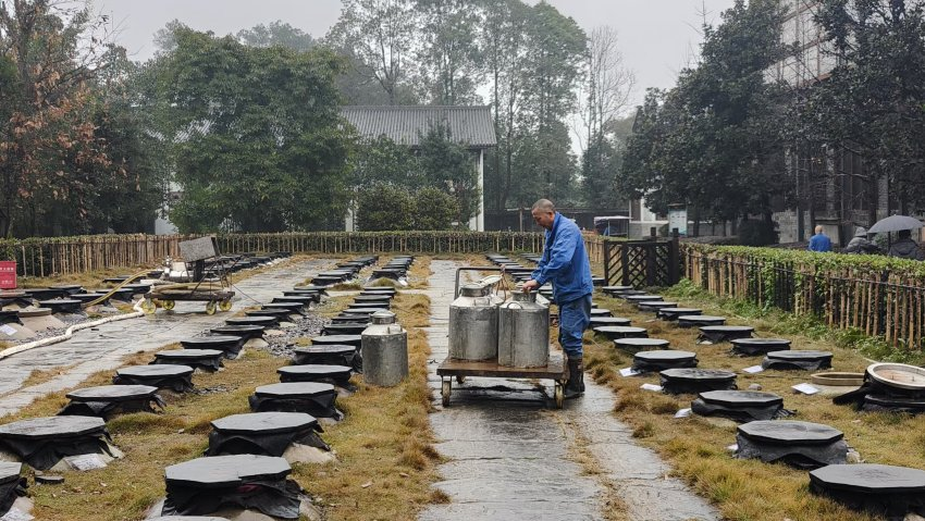 破局、升级、传承成都、绵竹产区打造川酒可持续高质量发展新样本(图5)