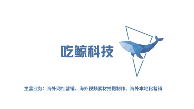 海外KOL推广实战指南：从选人到变现一步到位(图3)