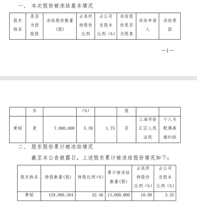 2024电商代运营十大事件：阿里网络清仓丽人丽妆股份乐其进军AI(图3)
