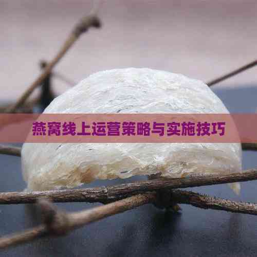 燕窝线上运营策略与实施技巧(图7)