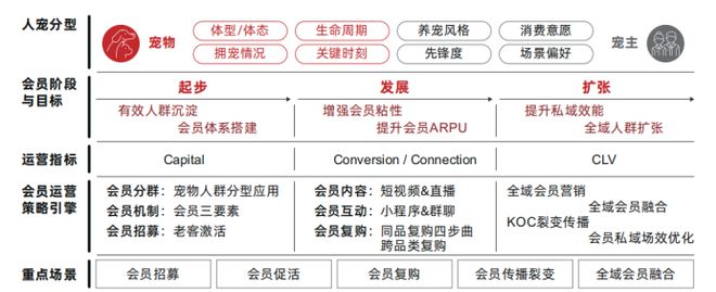 B·sport（中国体育）：增长利器：宠物产品的会员运营策略(图4)