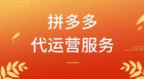 广州好易富电子商务有限公司：拼多多代运营商家月销破百万案例(图2)