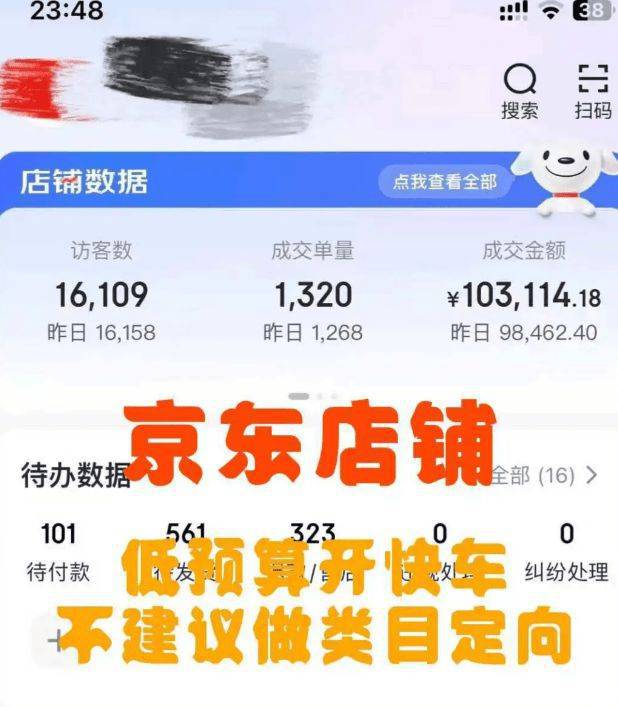 什么是京东店铺代运营呢？专业的京东店铺代运营公司有哪些？(图1)