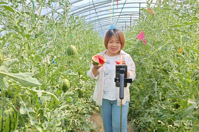 B·sport（中国体育）：芍药花开“云”端艳河北定兴撬动电商助农新动能(图2)