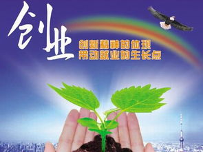 B·sport（中国体育）：村里创业做什么项目赚钱(图1)