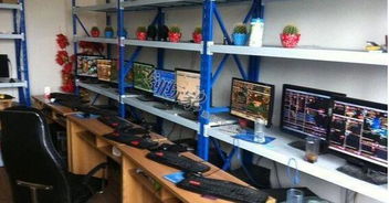 B·sport（中国体育）：什么项目赚钱工作室(图1)