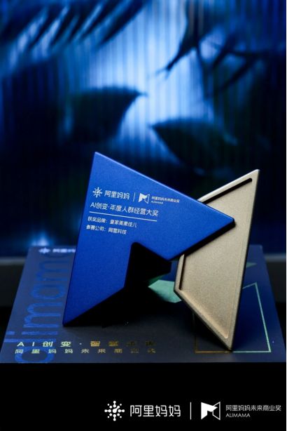 数字化引擎驱动增长：网营科技以成熟范式打造电商成功案例(图2)