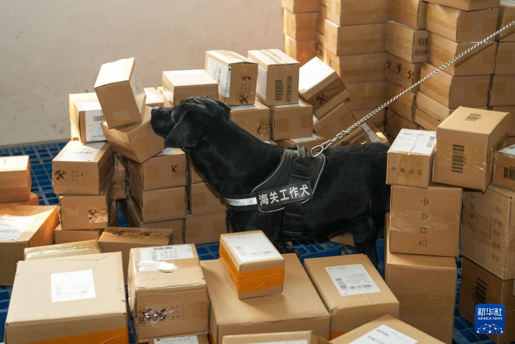 B·sport（中国体育）：“邮快跨”业务助力跨境电商高质量发展(图5)