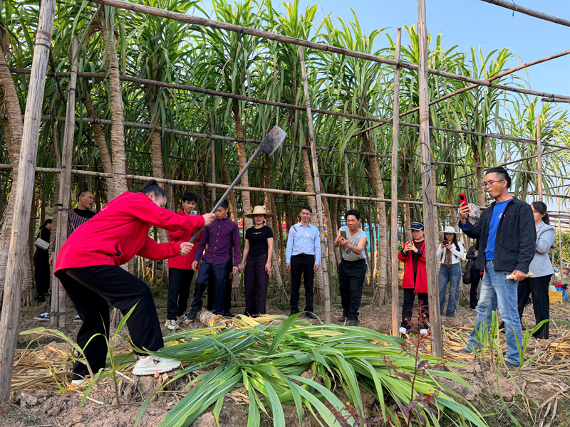 大化农村电商直播人才班到贵港开展实践实习(图2)