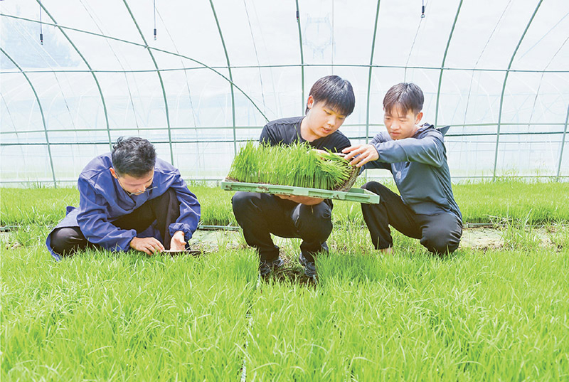 农业农村现代化要抓住农民这个关键(图2)