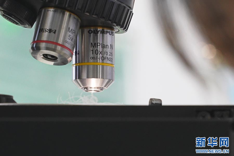 B·sport（中国体育）：新华网河南频道(图2)