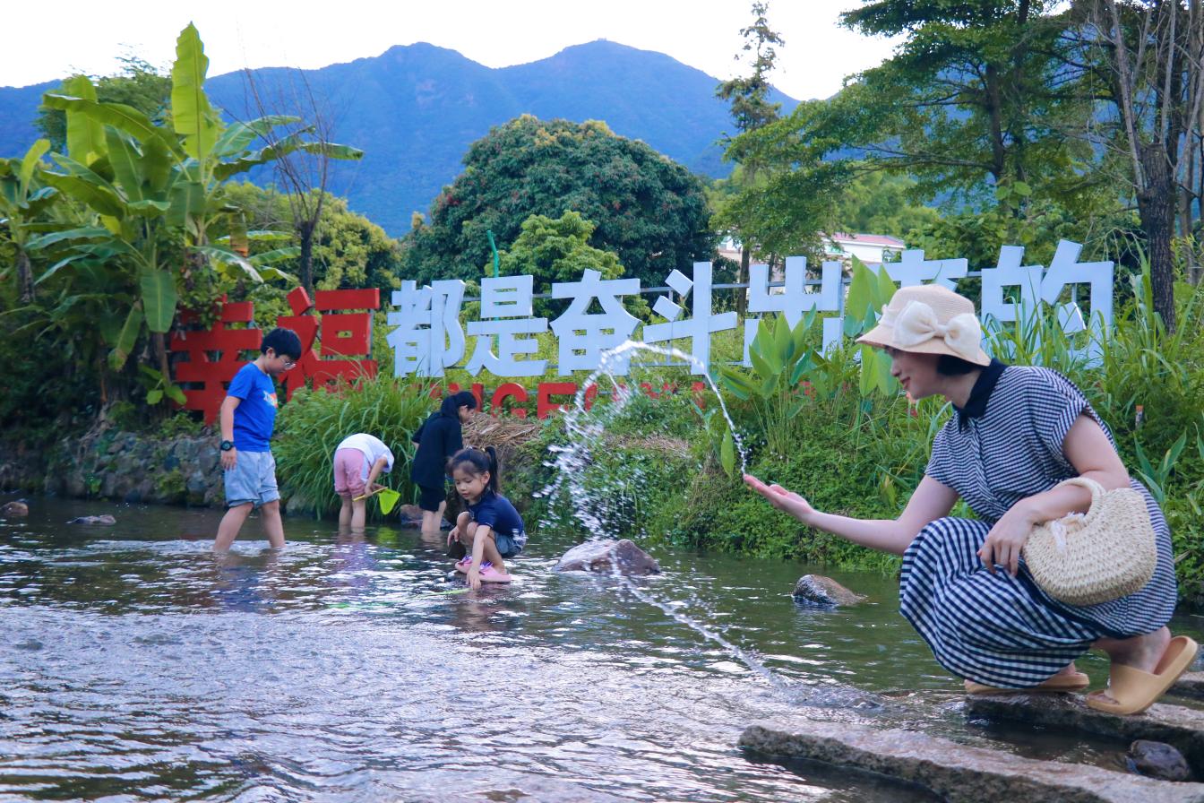 福建安溪：支部领航合作社里促共富(图1)