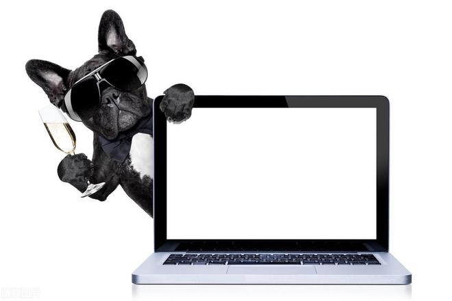 从0到1：电商新手运营攻略快速成为行业佼佼者！(图2)