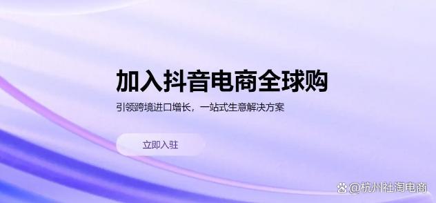 「杭州社淘」品牌没电商团队？全域代运营帮你从0搭建销售体系(图1)